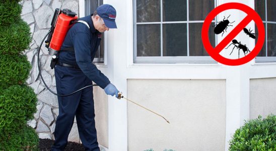 Yeşilli Böcek ve Haşere İlaçlama böcek ilaçlama ve haşere kontrolü — ilaclama-tr.com